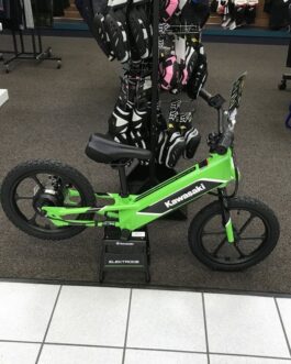 New 2023 Kawasaki Electric Bicycle Motorcycle Elektrode