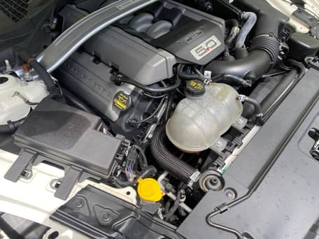 2015 Ford Mustang GT Coupe 50th Anniversary Edition - Image 21