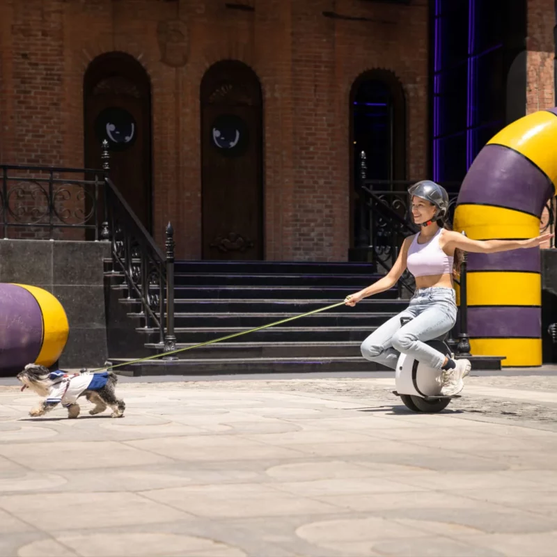 InMotion E20 Electric Unicycle - Image 5