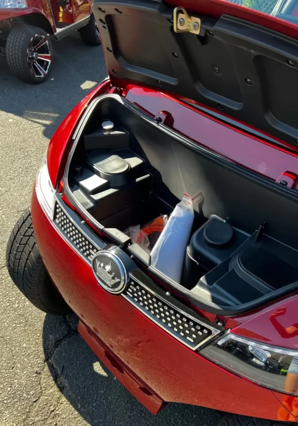 2022 Evolution D3 Ultimate Electric Vehicle - Image 6