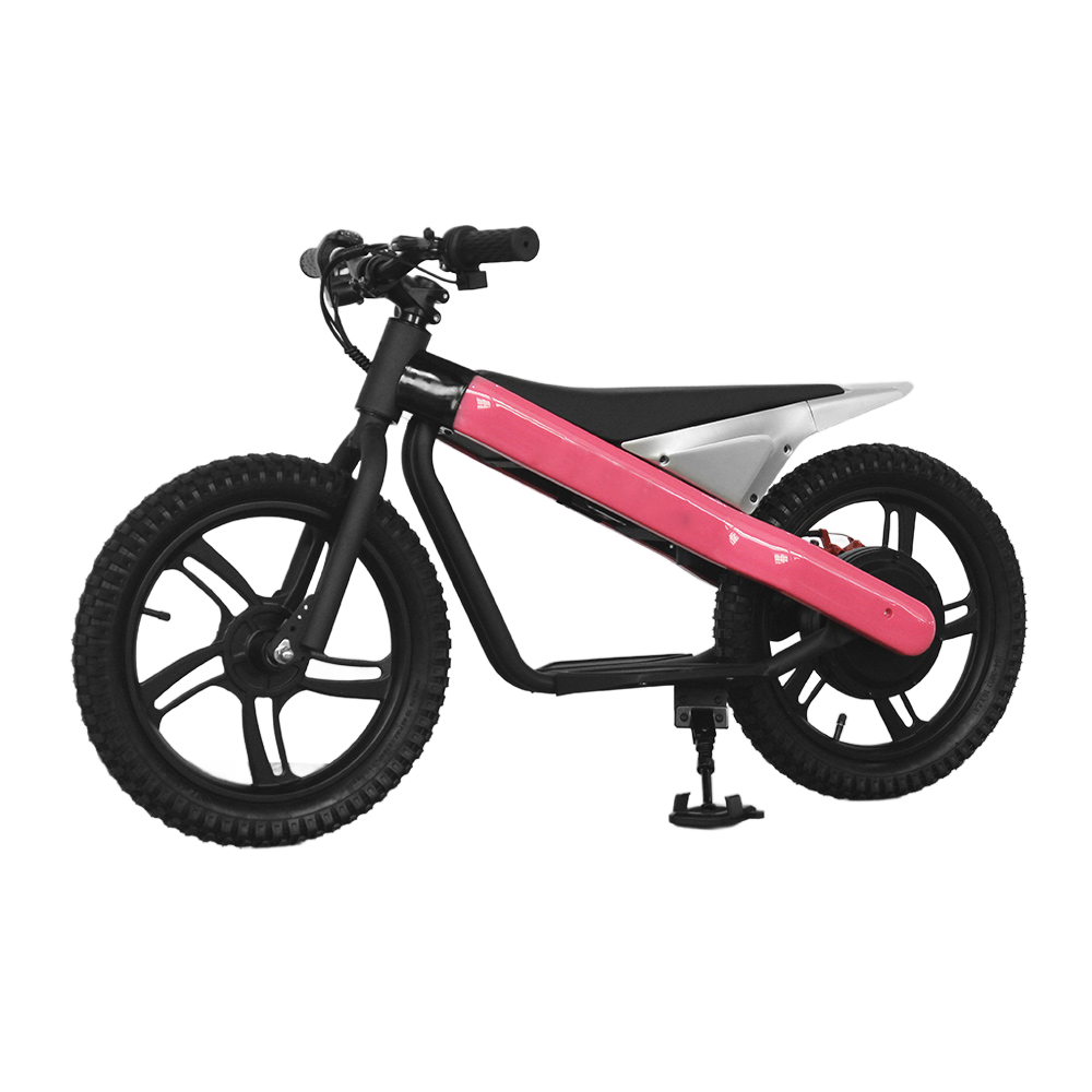 16eDrive Brushless Stability Cycle with Lithium Battery - Image 5